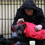 Fair Park shelter activates as freezing weather threatens vulnerable communities in Dallas