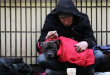 Fair Park shelter activates as freezing weather threatens vulnerable communities in Dallas