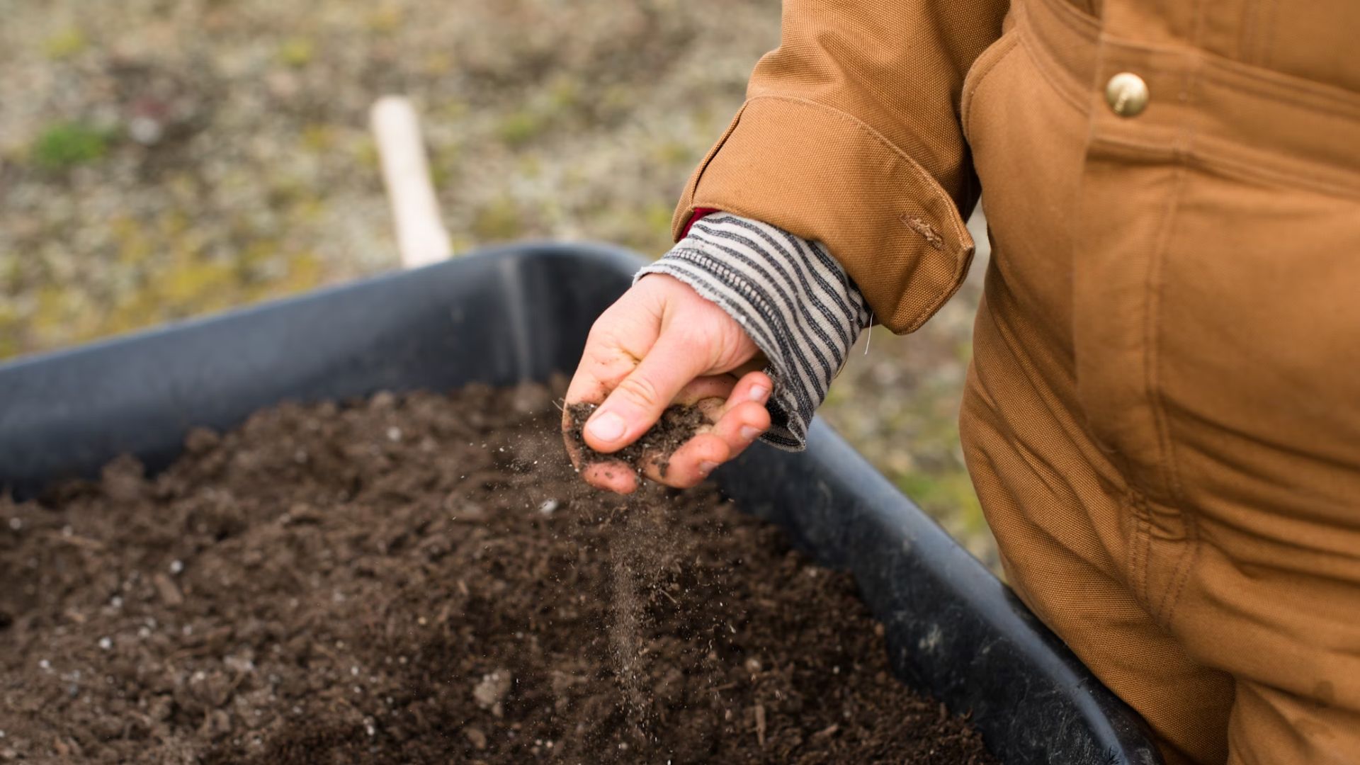 Office of Environmental Quality and Sustainability (OEQS) has developed a unique Urban Agriculture Infrastructure Support Program (UAISP).