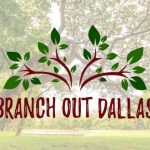 City of Dallas started "Branch Out" tree giveaway program, residents can request trees for free from the city to plant them later