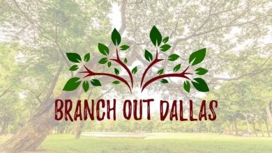 City of Dallas started "Branch Out" tree giveaway program, residents can request trees for free from the city to plant them later