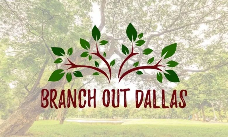 City of Dallas started "Branch Out" tree giveaway program, residents can request trees for free from the city to plant them later