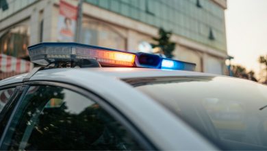 Police recover stolen vehicles and arrest Mexican national accused of planning exports to Gulf Cartel