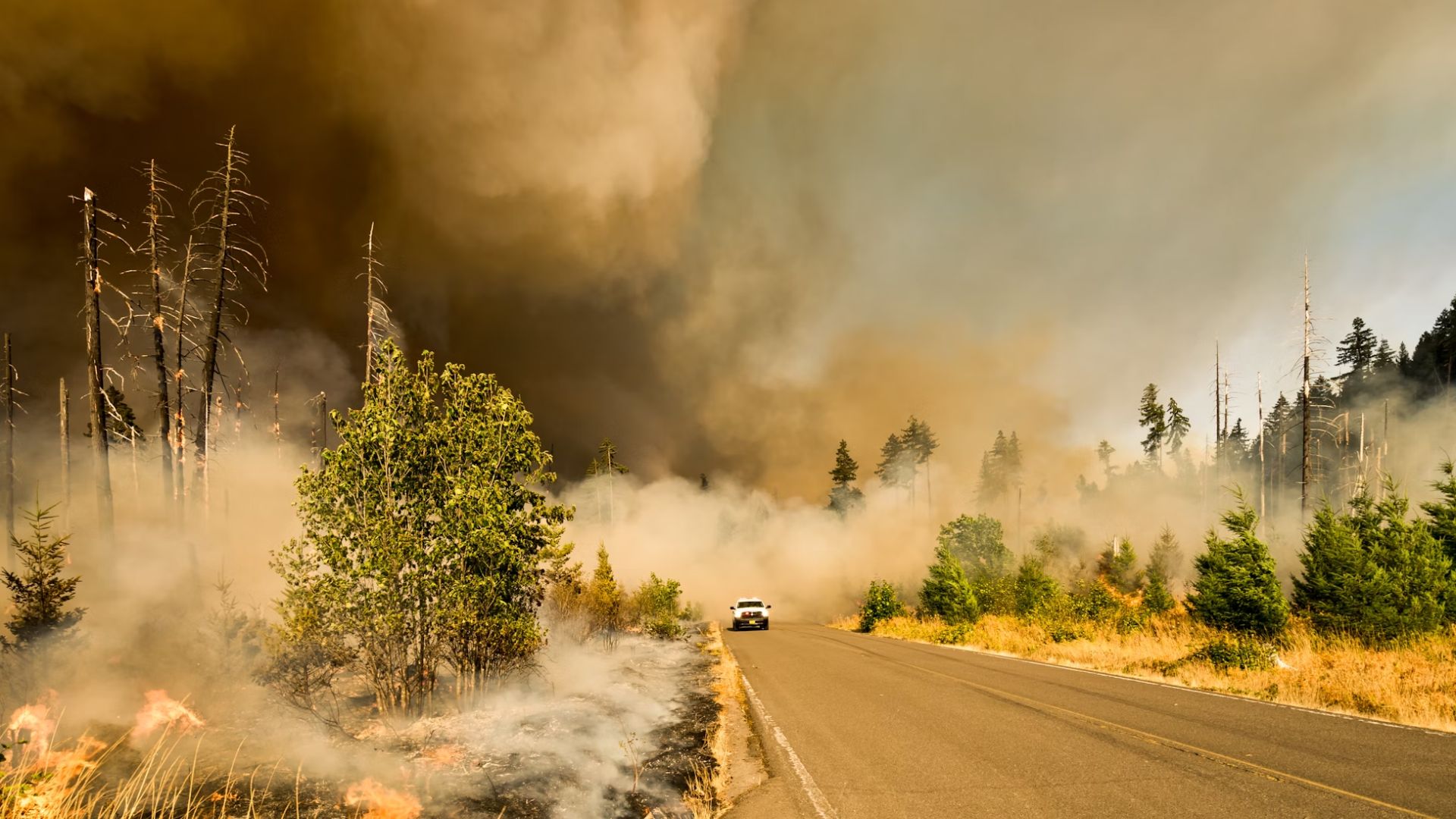 Governor Greg Abbott has issued a disaster declaration in 143 counties in reaction to the growing threat of wildfires over Texas