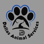 Dallas Animal Services calls on community to adopt and foster as shelter reaches record number of dogs in care