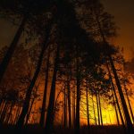 Emergency crews mobilized across Texas to respond to increasing wildfire threats in the western regions of the state