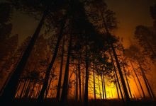 Emergency crews mobilized across Texas to respond to increasing wildfire threats in the western regions of the state