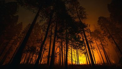 Emergency crews mobilized across Texas to respond to increasing wildfire threats in the western regions of the state