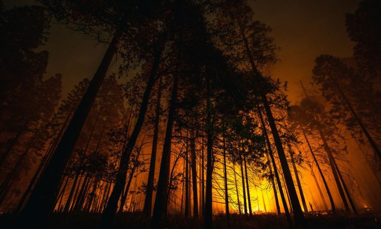 Emergency crews mobilized across Texas to respond to increasing wildfire threats in the western regions of the state